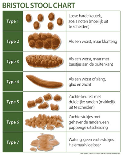 Bristol Stool Chart