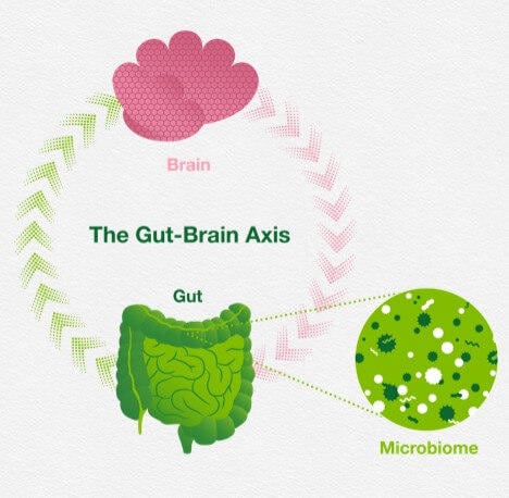 Hersen darm as en microbioom