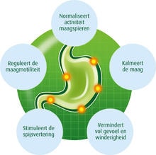 Hoe Iberogast werkt